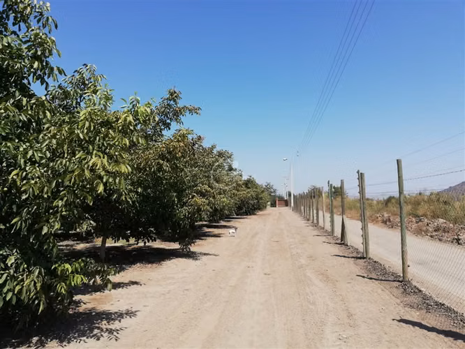 Agrícola en Venta en Paine