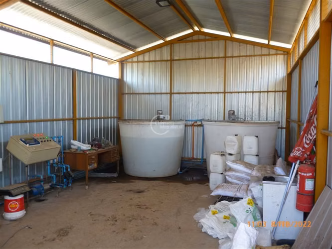 Agrícola en Venta en Paine