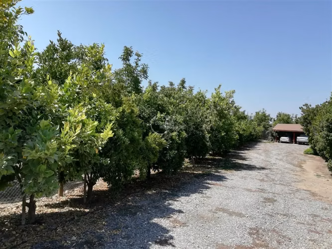 Parcela en Venta en Paine