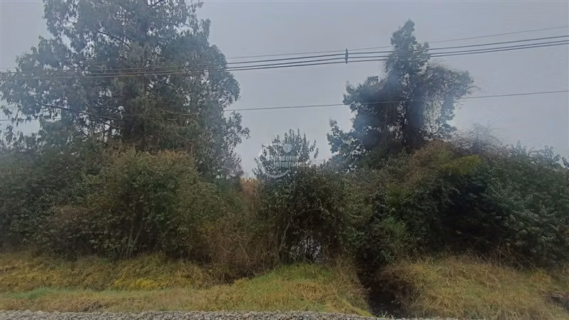 Sitio en Venta en Mariquina