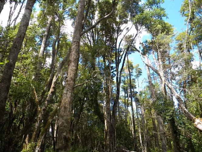 Agrícola en Venta en La Unión