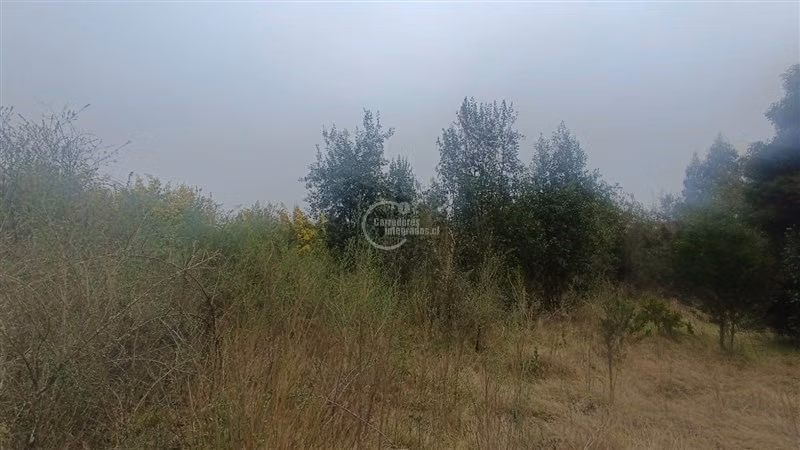 Sitio en venta en Mariquina
