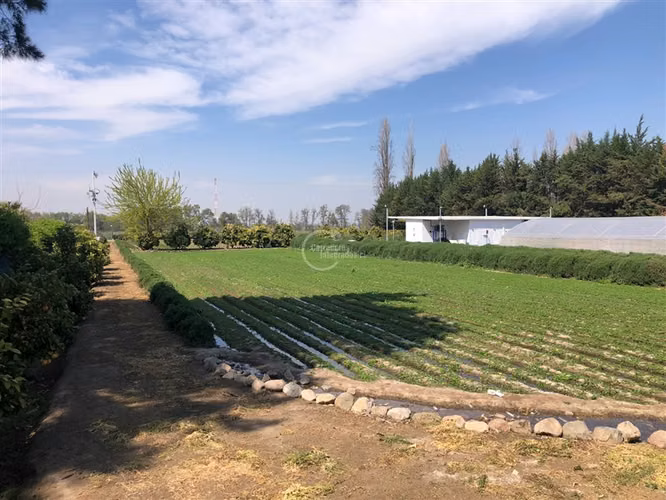 Agrícola en venta en Lampa