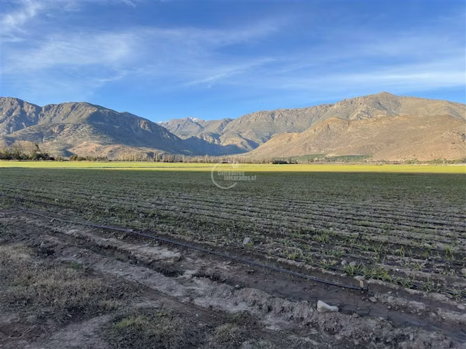 Agrícola en venta en Catemu