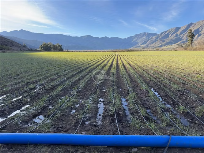 Agrícola en venta en Catemu