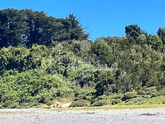 Tu Refugio en Quinchao, parcelas en venta en Isla Quenac