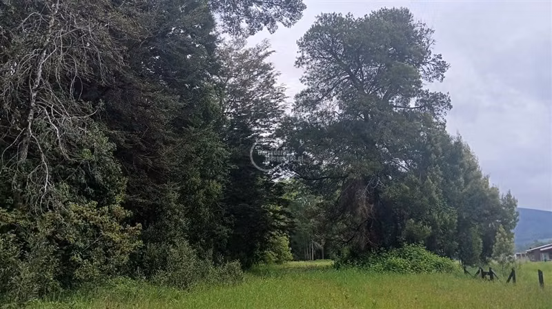 Excelente parcela en Villarrica orilla de río