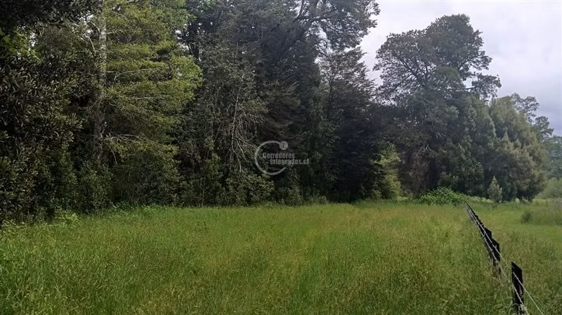 Excelente parcela en Villarrica orilla de río