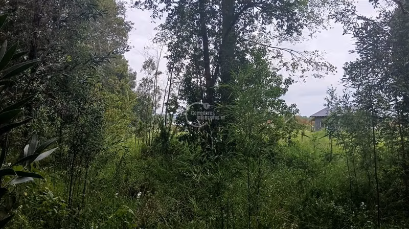 Excelente parcela en Villarrica orilla de río