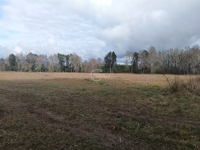 Terreno Construcción en Venta en Villarrica
