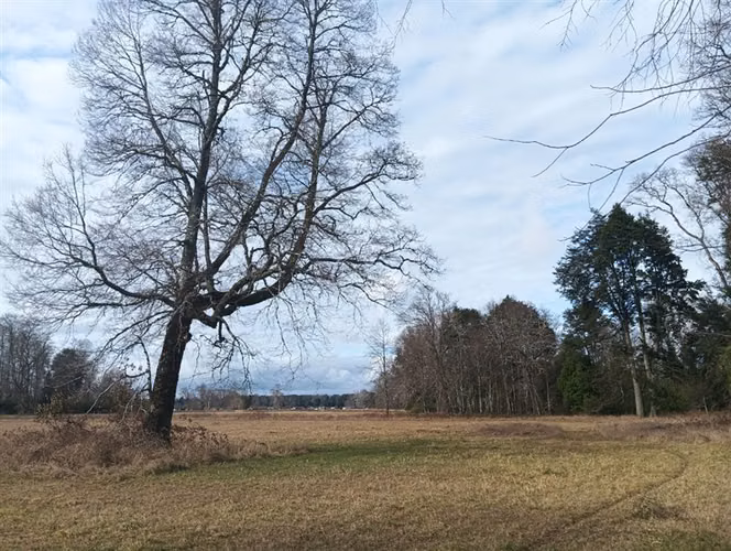 Terreno Construcción en Venta en Villarrica