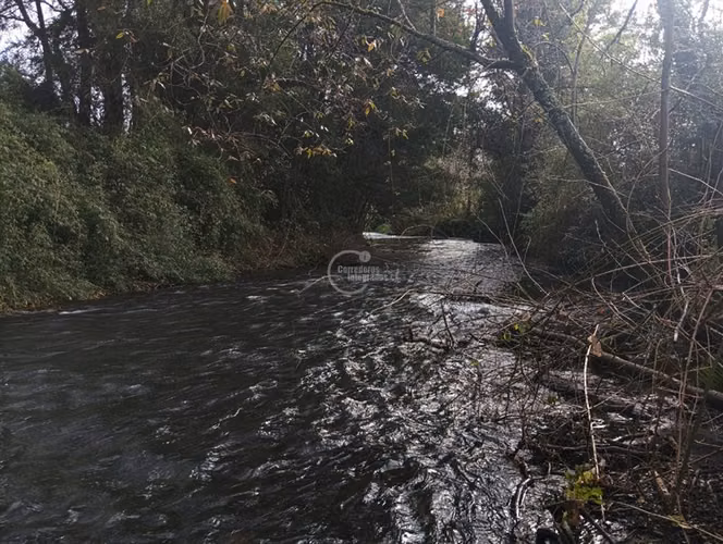 Terreno Construcción en Venta en Villarrica
