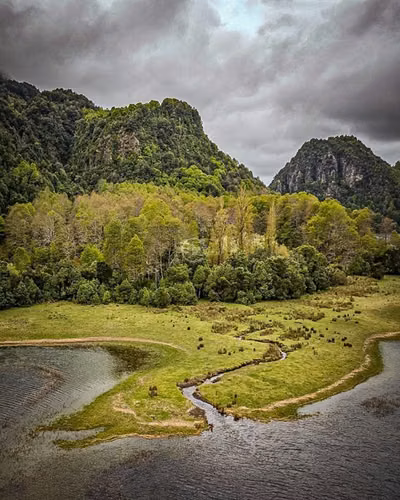 Parcela en venta Pucón Laguna el Leon Increible Naturaleza