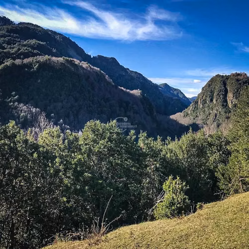 Parcela en venta Pucón Laguna el Leon Increible Naturaleza