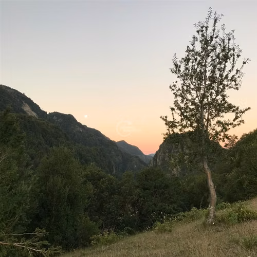 Parcela en venta Pucón Laguna el Leon Increible Naturaleza