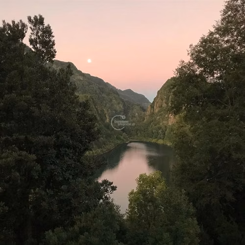 Parcela en venta Pucón Laguna el Leon Increible Naturaleza