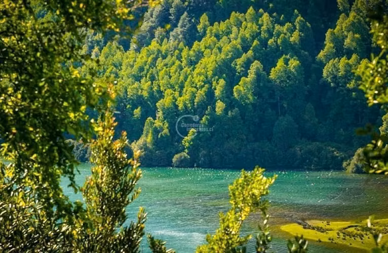 Parcela en venta Pucón Laguna el Leon Increible Naturaleza