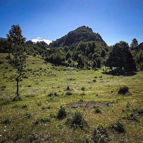 Parcela en venta Pucón Laguna el Leon Increible Naturaleza