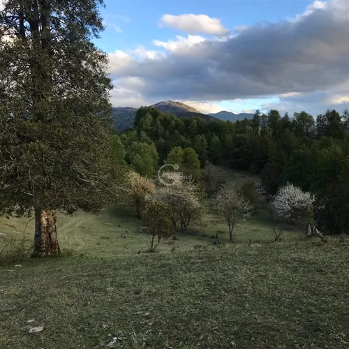 Parcela en venta Pucón Laguna el Leon Increible Naturaleza