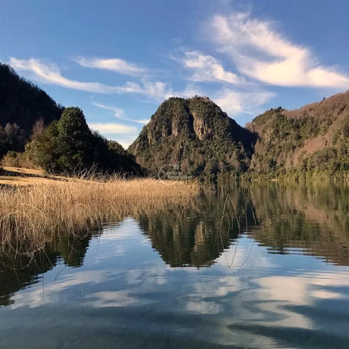 Parcela en venta Pucón Laguna el Leon Increible Naturaleza