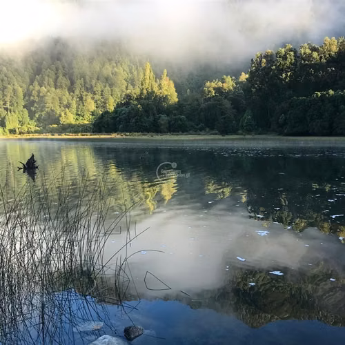 Parcela en venta Pucón Laguna el Leon Increible Naturaleza