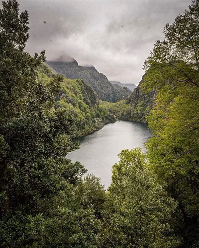Parcela en venta Pucón Laguna el Leon Increible Naturaleza