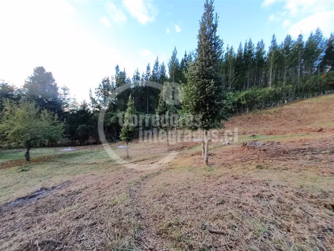 Parcela en venta comuna Villarrica- Correntoso