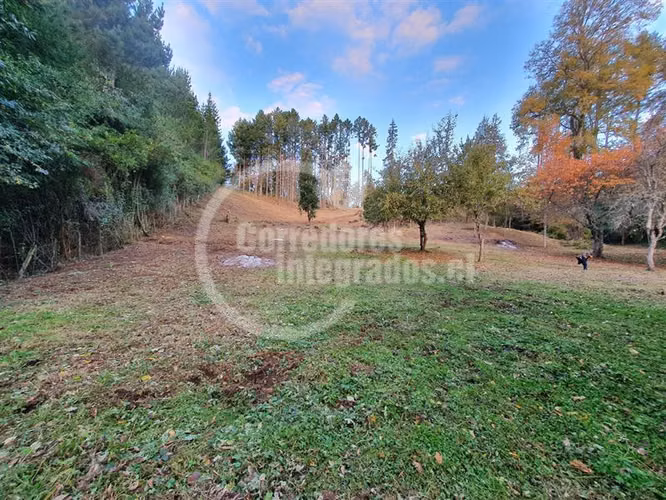 Parcela en venta comuna Villarrica- Correntoso