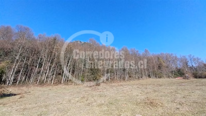 Maravillosas parcelas con vista al valle de Trancura