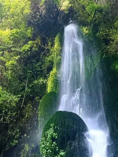 Parcela Venta Pucón 6.000 mtrs EntornoBosques Vistas Volcan - Imagen 9