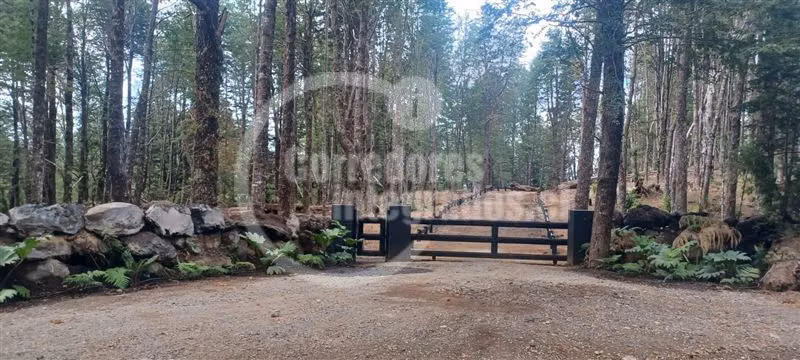 Parcela Venta Pucón 6.000 mtrs EntornoBosques Vistas Volcan