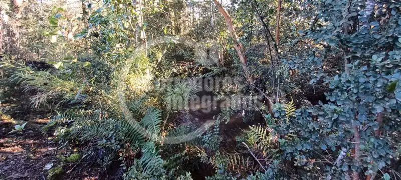 Parcela en Venta Villarrica Río y Vista Volcán