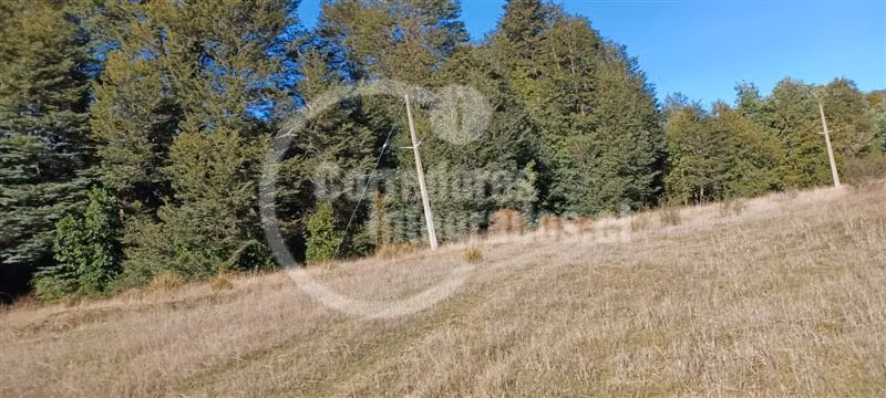 Parcela en Venta Villarrica Río y Vista Volcán