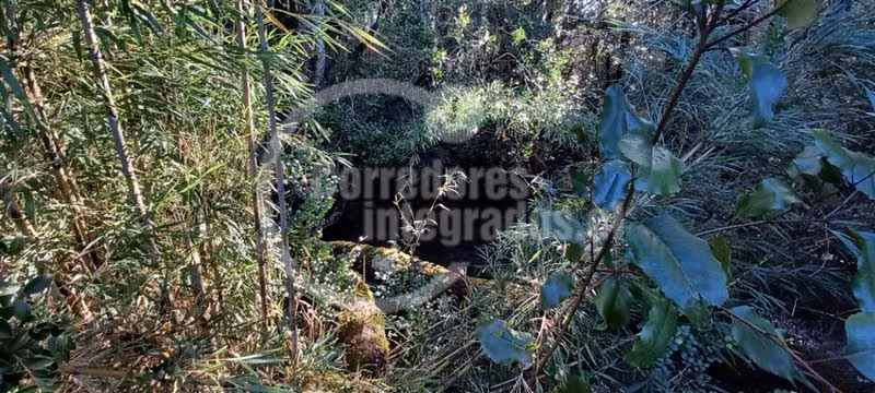 Parcela en Venta Villarrica Río y Vista Volcán