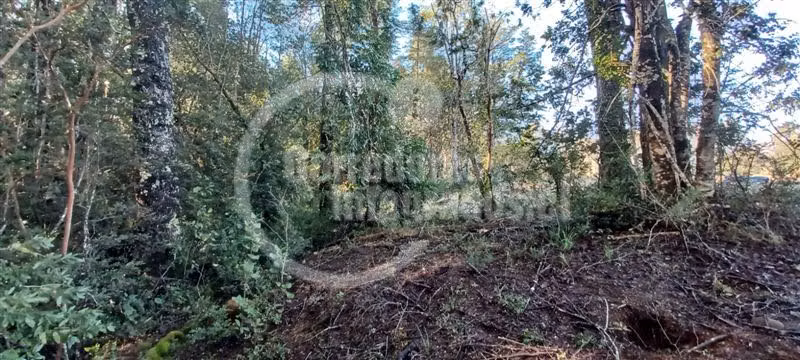 Parcela en Venta Villarrica Río y Vista Volcán