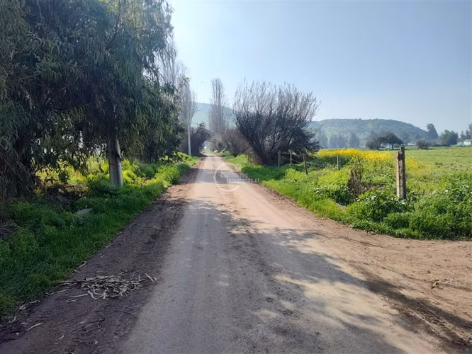 Agrícola en Venta en Colina