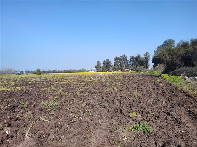Agrícola en Venta en Colina