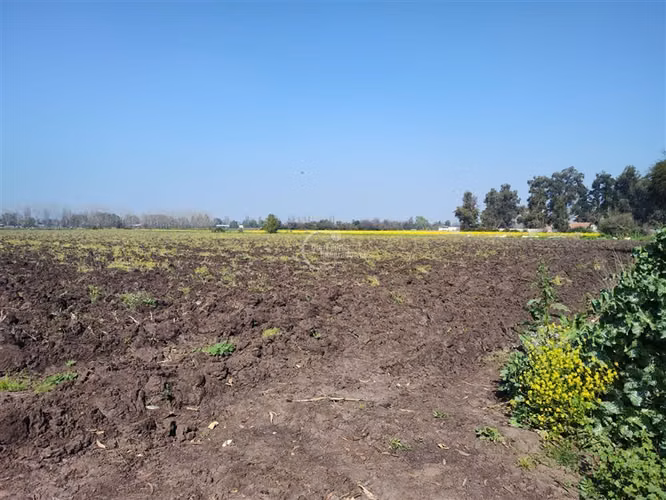 Terreno Construcción  en Venta en Colina