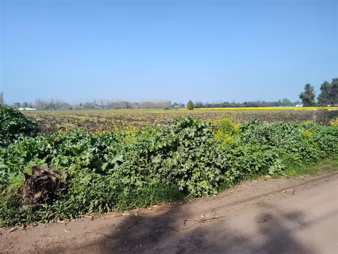 Parcela en Venta en Colina