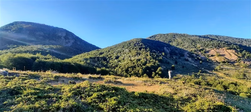 Agrícola en Venta en Coihaique