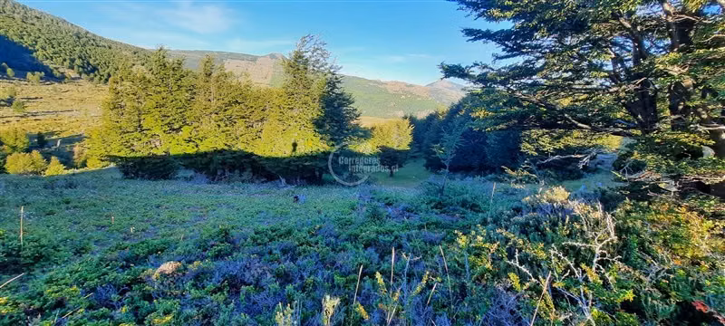 Agrícola en Venta en Coihaique