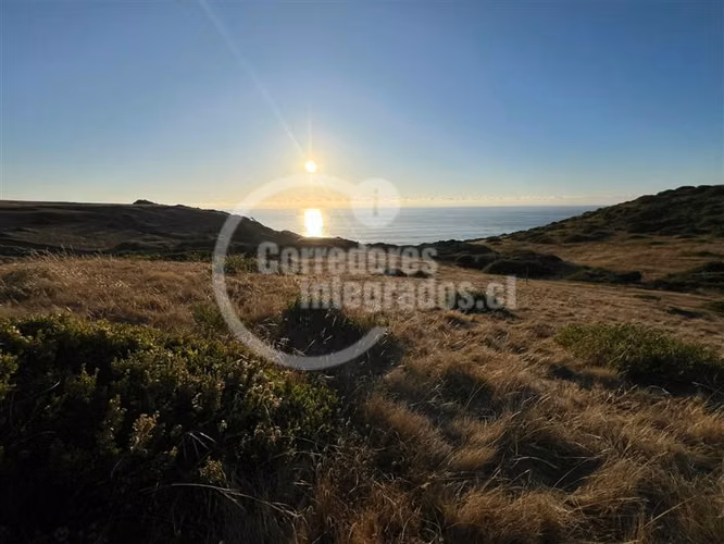 Sitios Venta, entre Topocalma y Pichilemu, 5.000 m2, vista