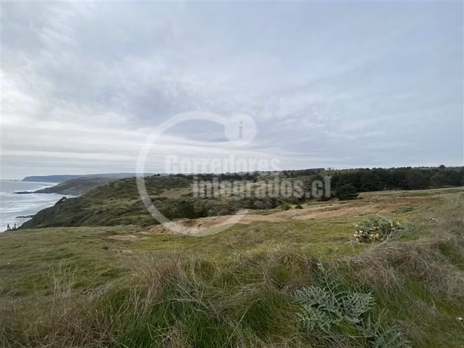 Sitios Venta, entre Topocalma y Pichilemu, 5.000 m2, vista