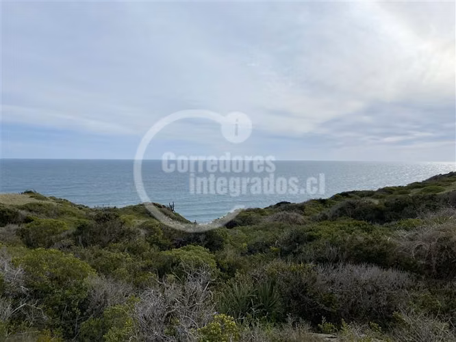 Sitios Venta, entre Topocalma y Pichilemu, 5.000 m2, vista