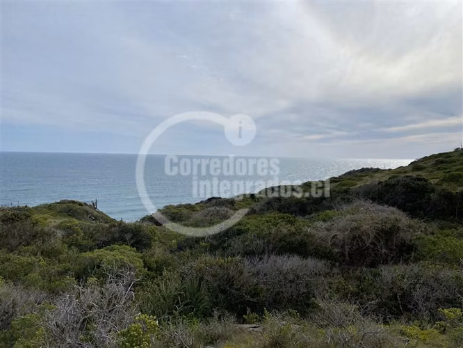 Sitios Venta, entre Topocalma y Pichilemu, 5.000 m2, vista