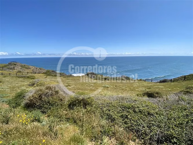 Sitios Venta, entre Topocalma y Pichilemu, 5.000 m2, vista