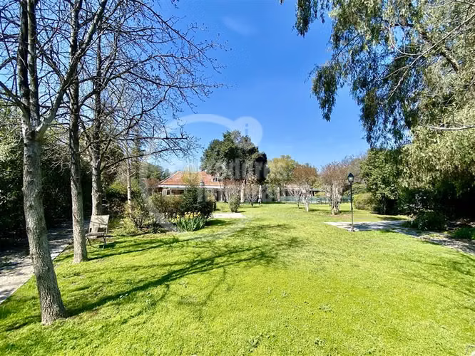 Casa en venta de 11 dorm. en Chicureo - Imagen 2