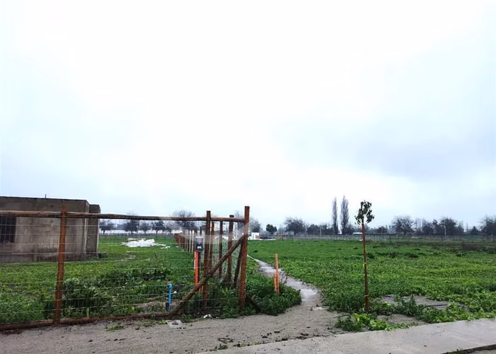 Sitio en Venta Liray / Santa Ester