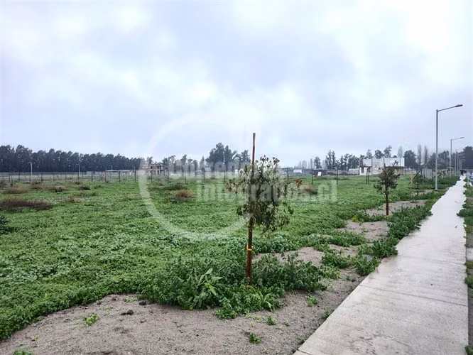 Sitio en Venta Liray / Santa Ester