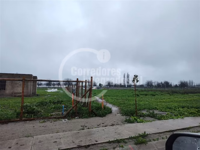 Sitio en Venta Liray / Santa Ester